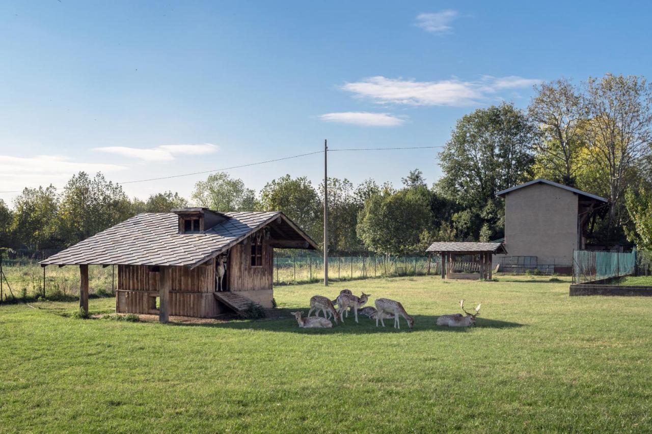La Casetta Dei Daini - Affitti Brevi Italia Apartment Orio al Serio Bagian luar foto